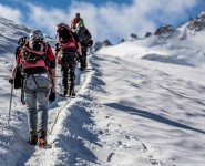 To the top To the top