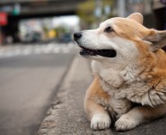 Still waiting. Where is he? Still waiting. Where is he?