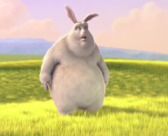 MP4 Self Hosted MP4 Self Hosted