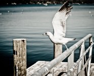 Take off to abroad Take off to abroad