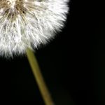 visualpanic_2608937632