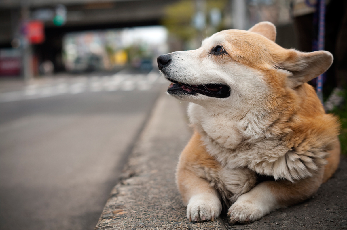 Still waiting. Where is he? Still waiting. Where is he?