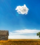 Last cloud in the sky Last cloud in the sky