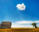 Last cloud in the sky Last cloud in the sky