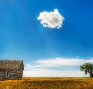 Last cloud in the sky Last cloud in the sky