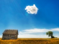 Last cloud in the sky Last cloud in the sky