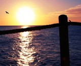 Chasing the sun Chasing the sun