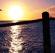 Chasing the sun Chasing the sun