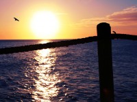 Chasing the sun Chasing the sun