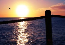 Chasing the sun Chasing the sun