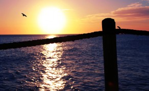 Chasing the sun Chasing the sun