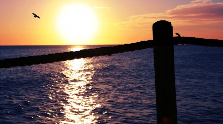 Chasing the sun Chasing the sun