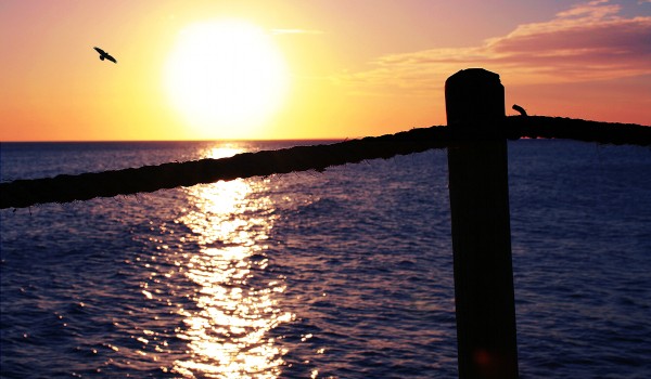 Chasing the sun Chasing the sun