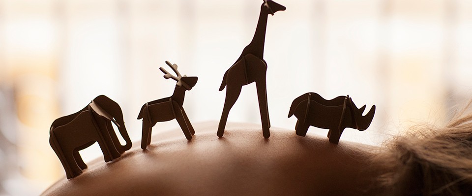 #121c8454aaeffe0e485427bcd21f174c5