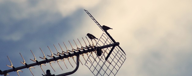 Vestibulum Bibendum Nibh Quis Sollicitudin