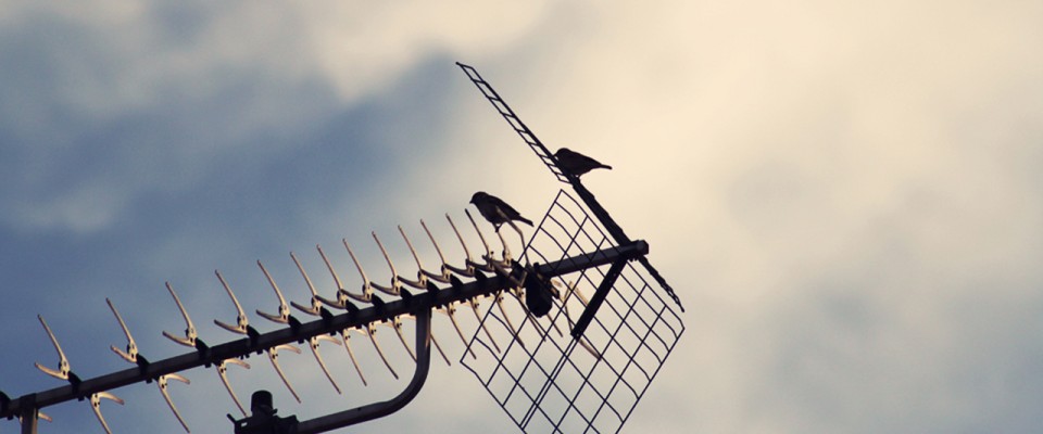 #121c8454aaeffe0e485427bcd21f174c4