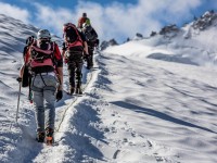 To the top To the top