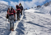 To the top To the top