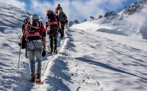 To the top To the top