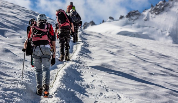 To the top To the top