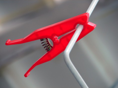 Sed porttitor auctor magna.