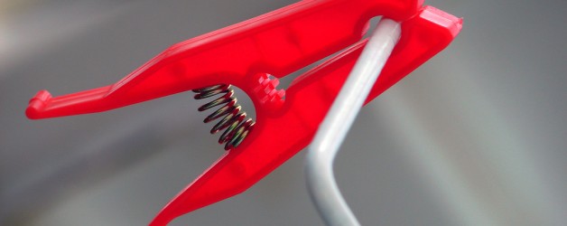 Sed porttitor auctor magna.