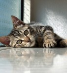 Relax ! Take it easy ! Relax ! Take it easy !