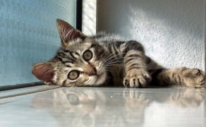 Relax ! Take it easy ! Relax ! Take it easy !