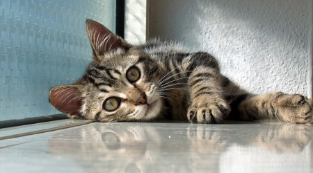 Relax ! Take it easy ! Relax ! Take it easy !