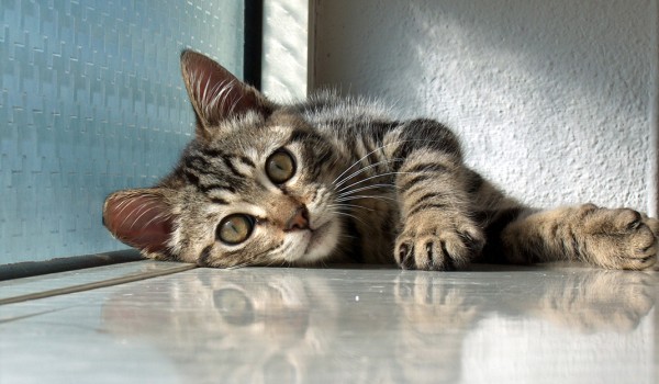 Relax ! Take it easy ! Relax ! Take it easy !