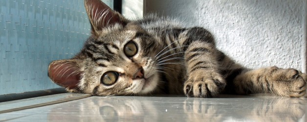 Relax ! Take it easy !