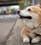 Still waiting. Where is he? Still waiting. Where is he?