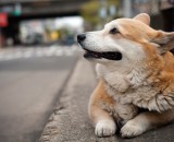 Still waiting. Where is he? Still waiting. Where is he?