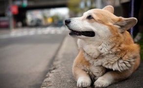 Still waiting. Where is he? Still waiting. Where is he?