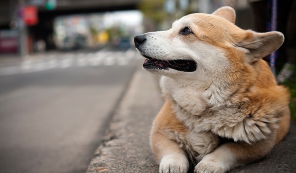 Still waiting. Where is he? Still waiting. Where is he?