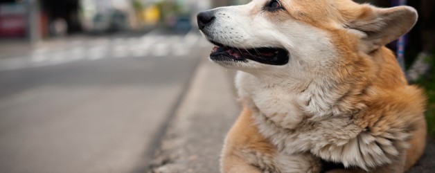 Still waiting. Where is he?