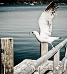 Take off to abroad i am leaving today! Take off to abroad i am leaving today!