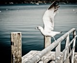 Take off to abroad i am leaving today! Take off to abroad i am leaving today!