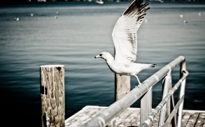 Take off to abroad i am leaving today!