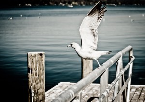 Take off to abroad i am leaving today! Take off to abroad i am leaving today!