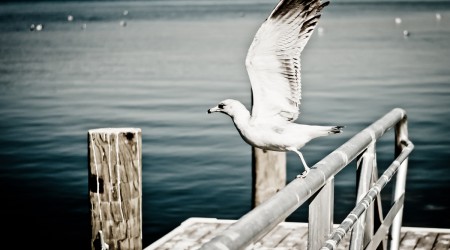 Take off to abroad i am leaving today! Take off to abroad i am leaving today!