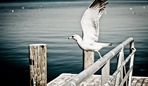 Take off to abroad i am leaving today! Take off to abroad i am leaving today!