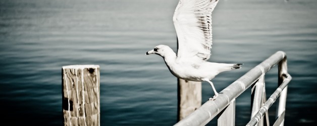 Take off to abroad i am leaving today!