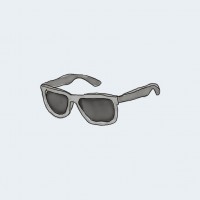 Sunglasses Sunglasses