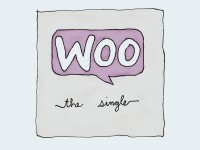 Single Single