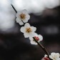 Hello world!